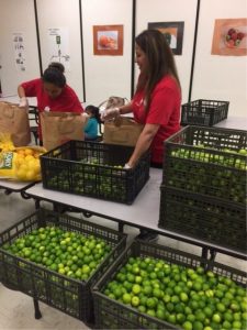 Fresh Point Volunteers bag produce alongside community volunteers at Linder Elementary 
