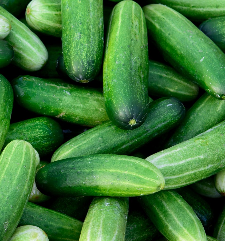 cucumbers_bulk Brighter Bites