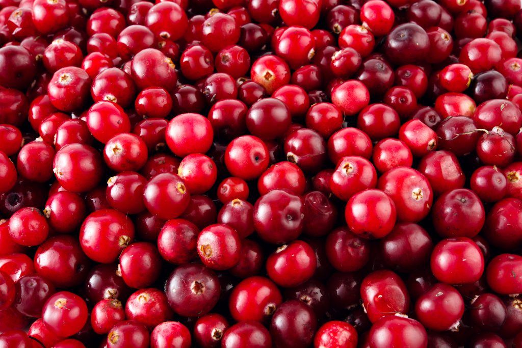 cranberries_bulk Brighter Bites