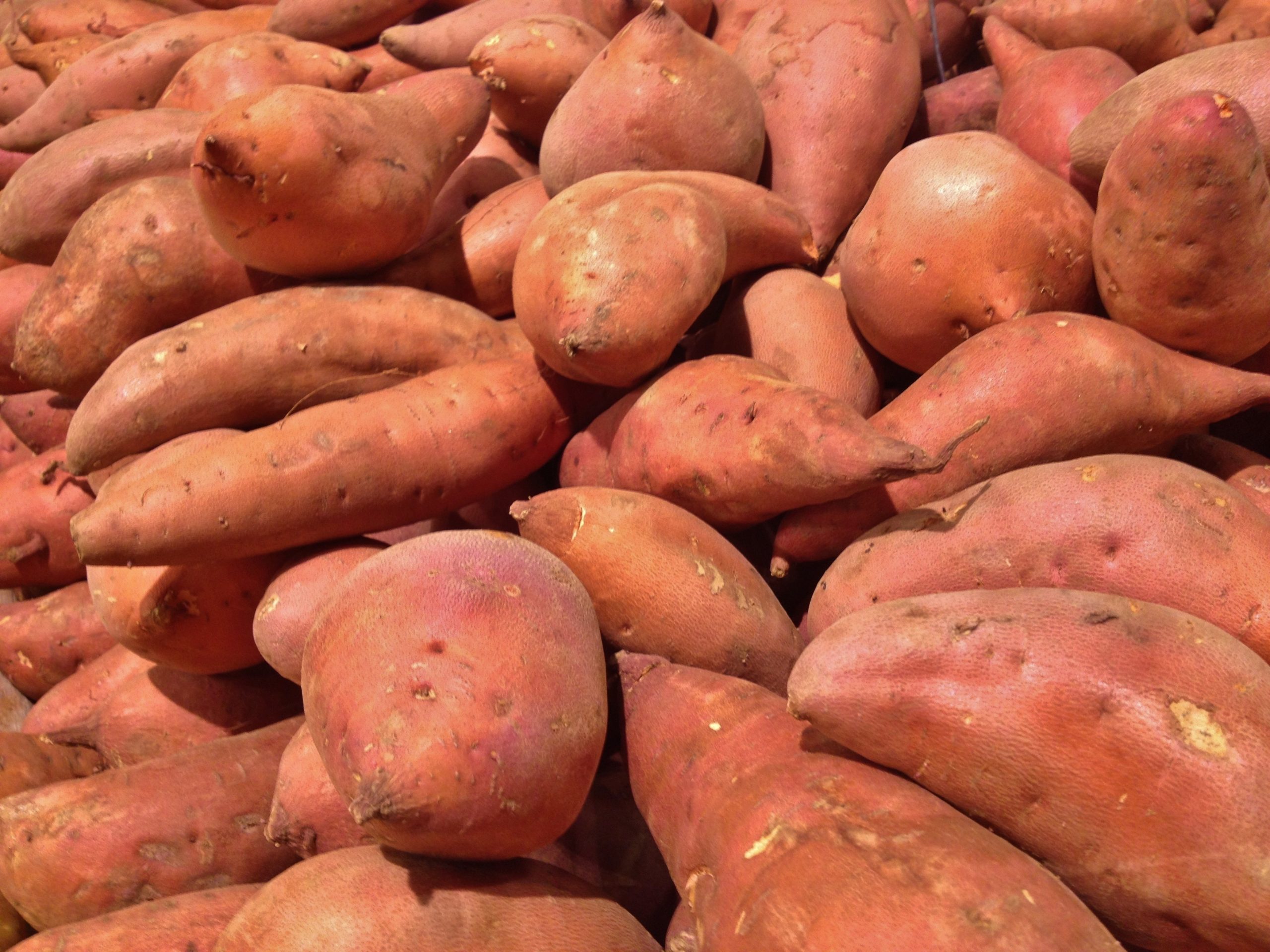 sweet potatoes_bulk Brighter Bites